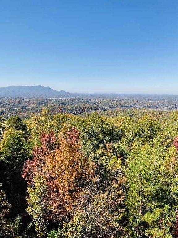 Pigeon Forge, TN 37862,3327 Pine Peak WAY