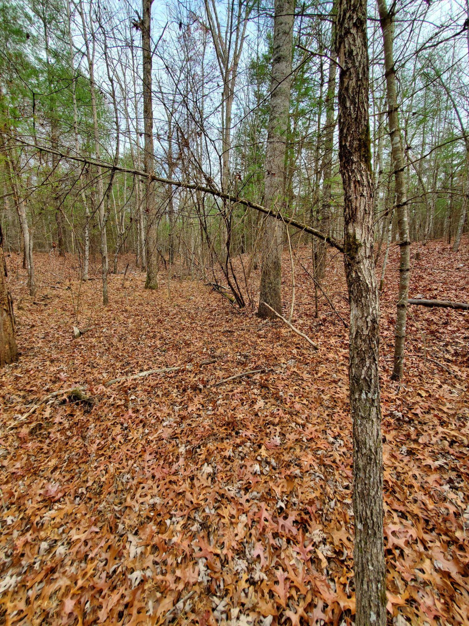 Jamestown, TN 38556,Lot 505 Trailhead LN