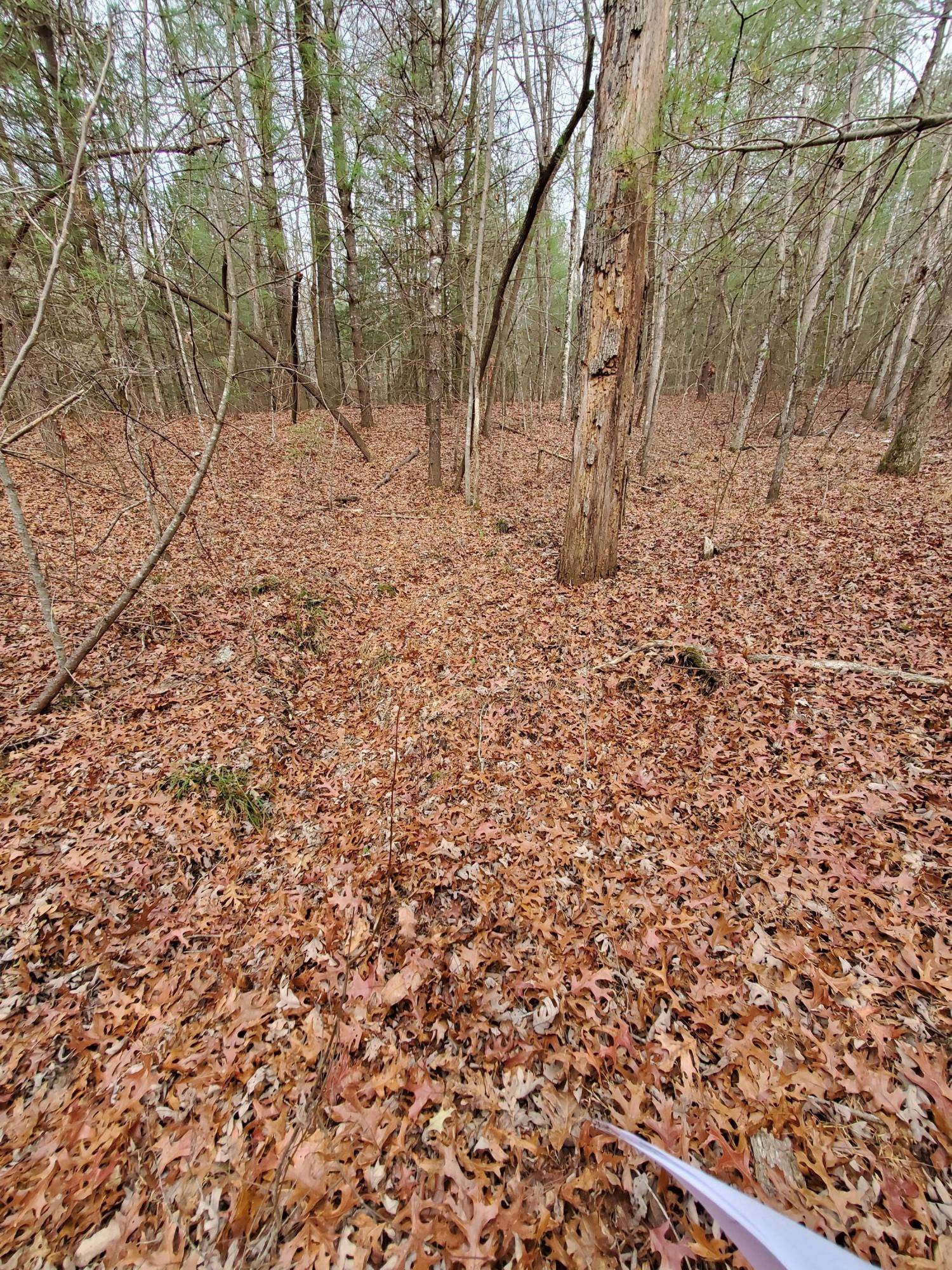 Jamestown, TN 38556,Lot 505 Trailhead LN