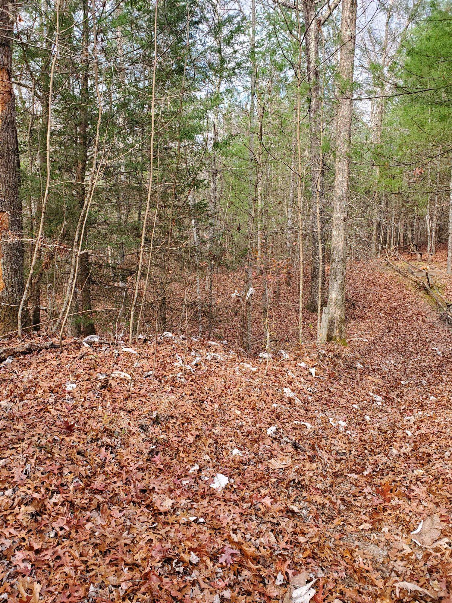 Jamestown, TN 38556,Lot 505 Trailhead LN