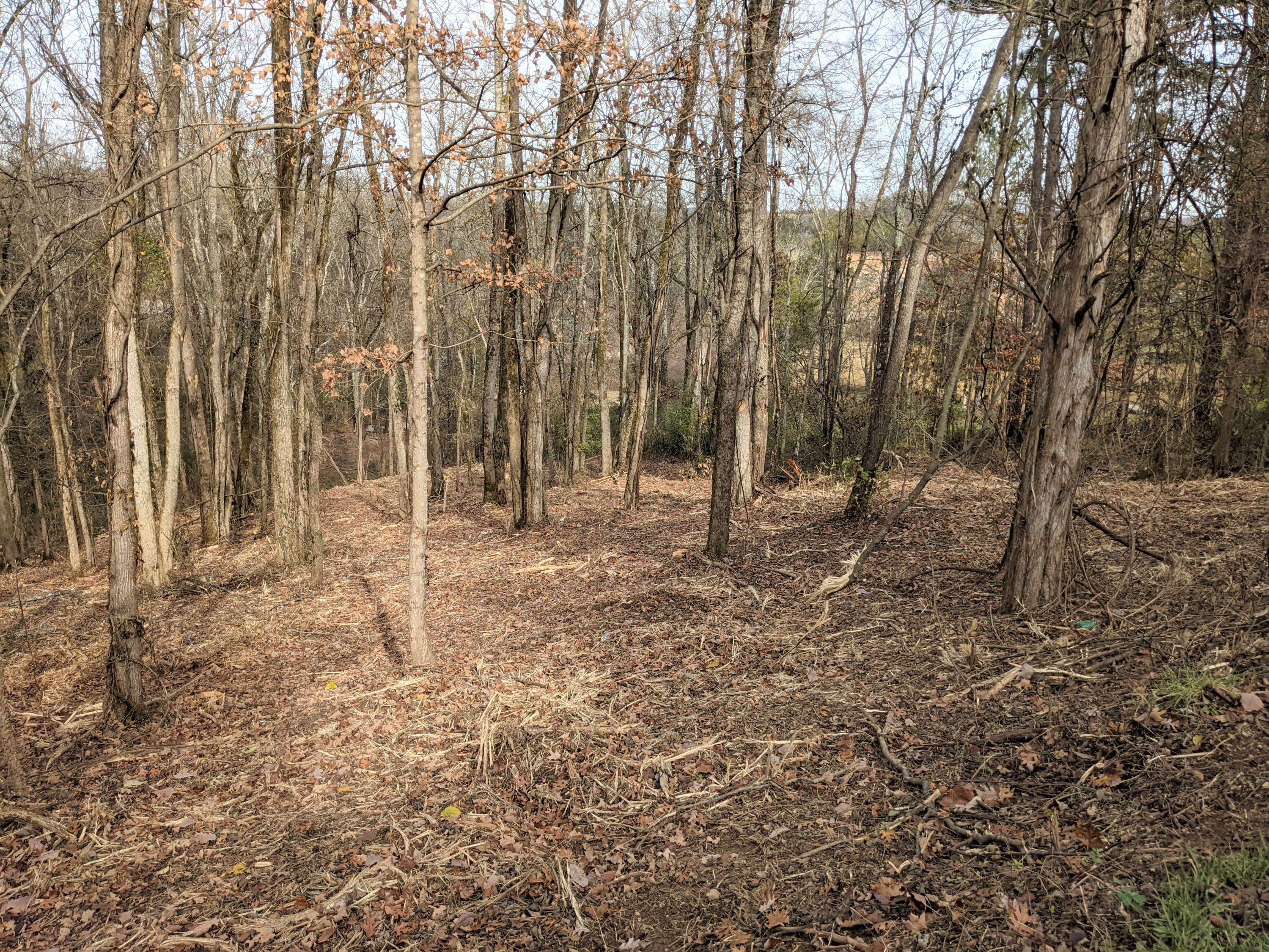 White Pine, TN 37890,Lot 27 Lakeside Dr