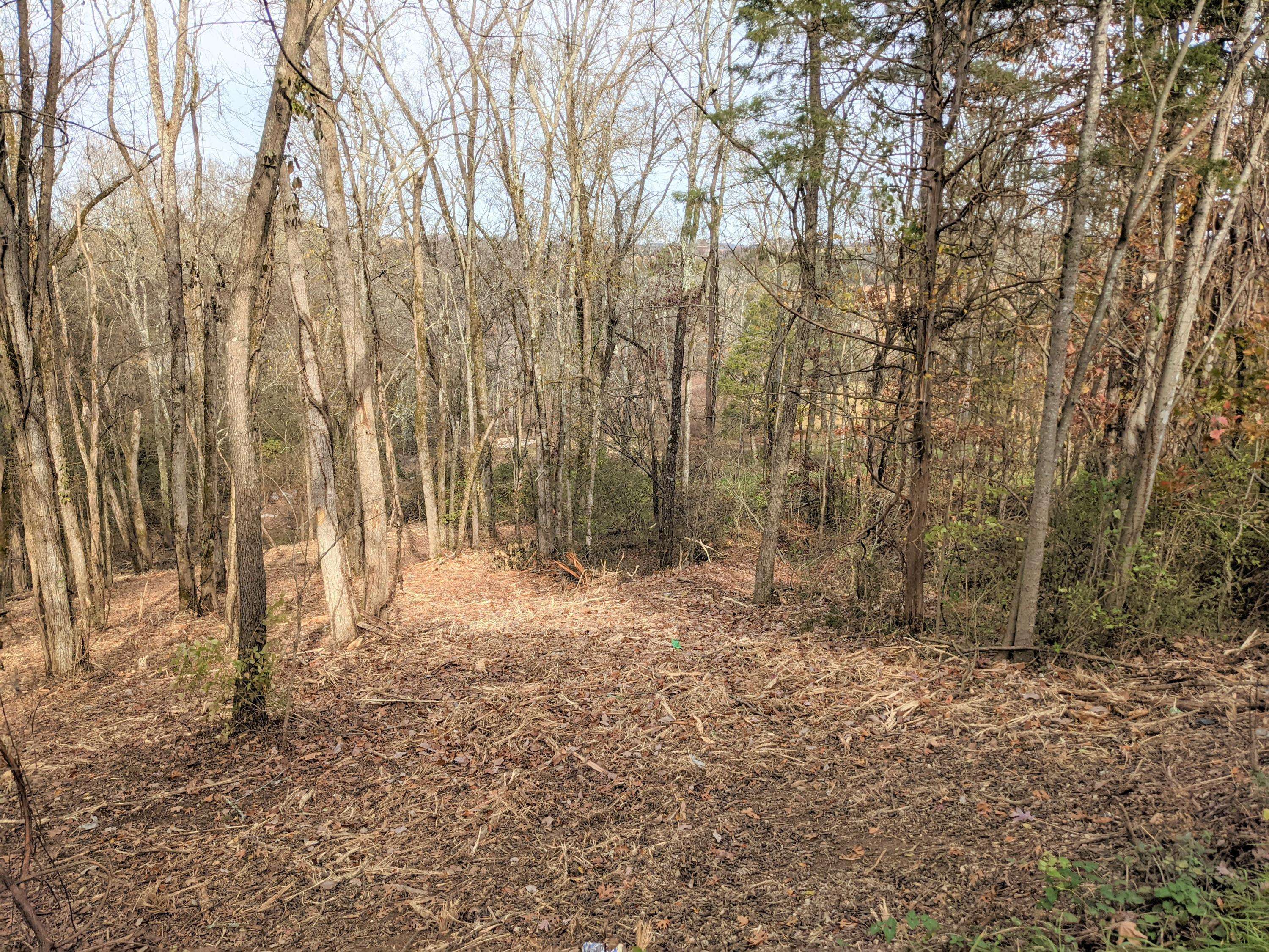 White Pine, TN 37890,Lot 27 Lakeside Dr