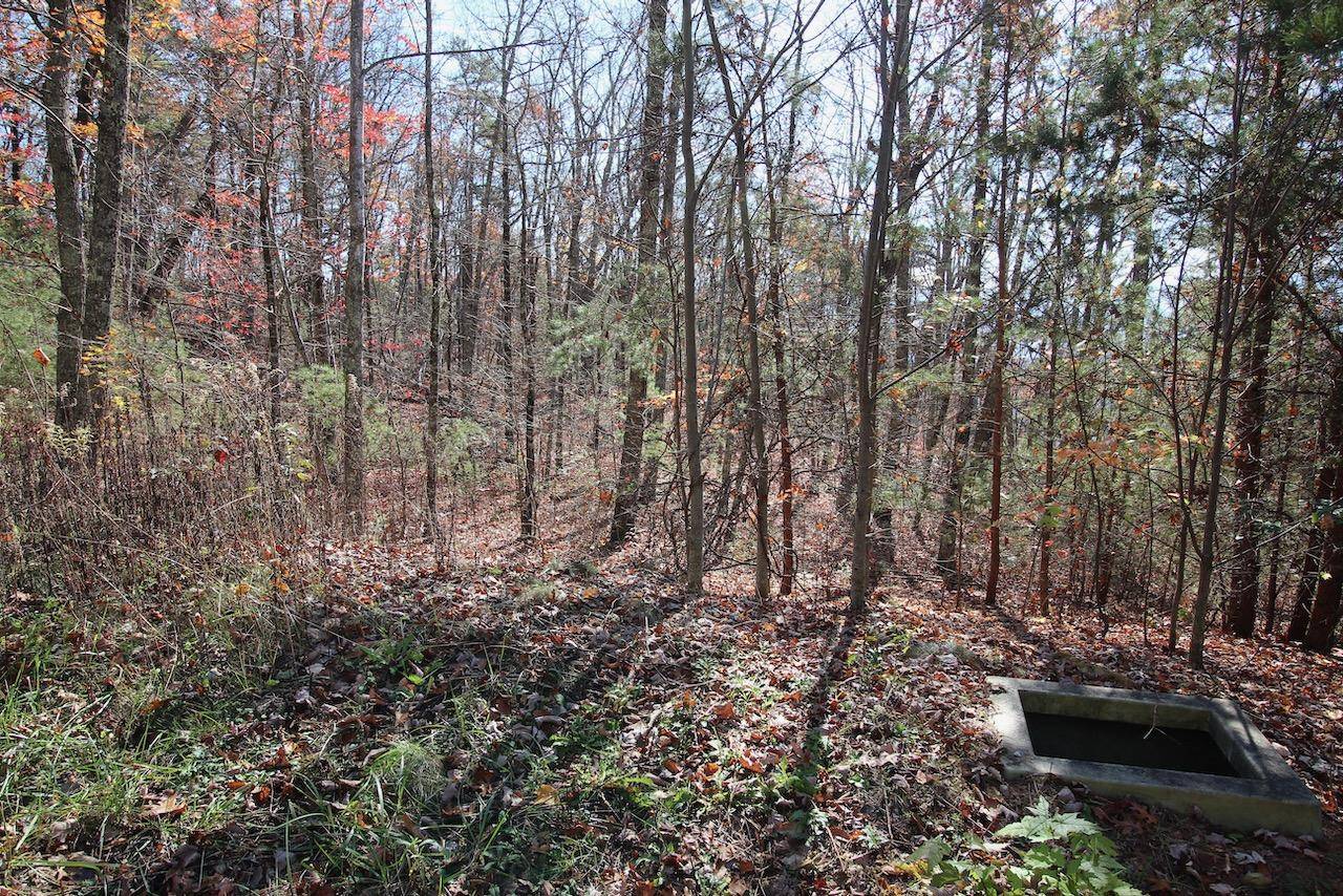 Sevierville, TN 37876,Lot 50 Mountain Ash Way