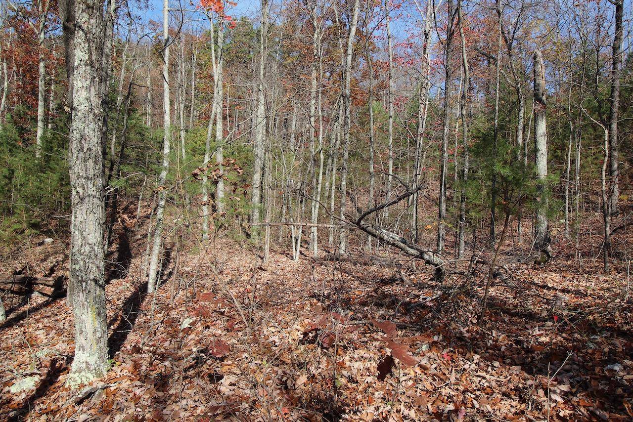 Sevierville, TN 37876,Lot 50 Mountain Ash Way