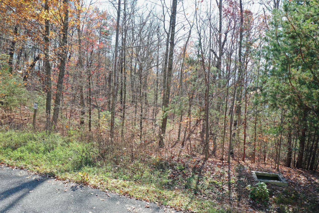 Sevierville, TN 37876,Lot 50 Mountain Ash Way