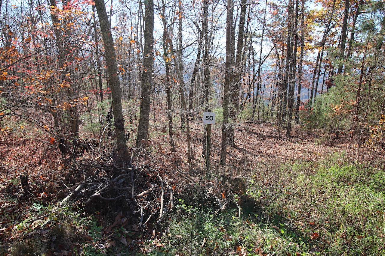 Sevierville, TN 37876,Lot 50 Mountain Ash Way