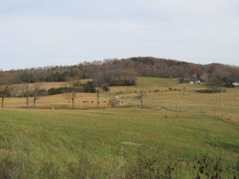 Sparta, TN 38583,10.50ac Walker Cove Rd