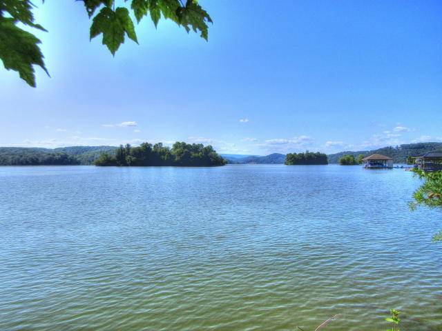 Rockwood, TN 37854,Lot 597 Crane PT