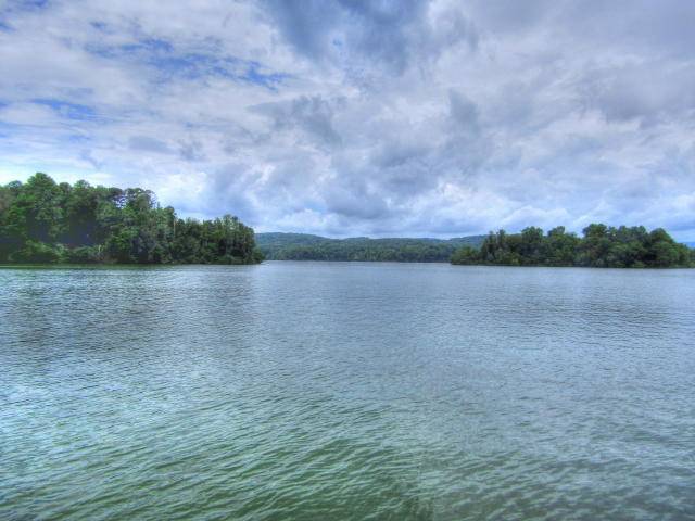 Rockwood, TN 37854,Lot 597 Crane PT