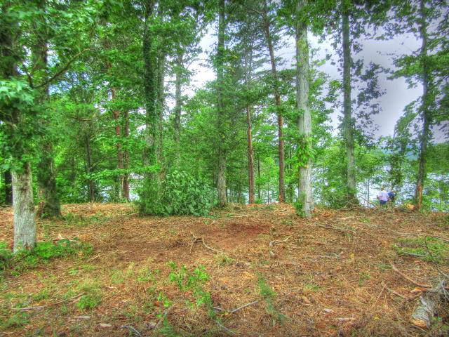 Rockwood, TN 37854,Lot 597 Crane PT