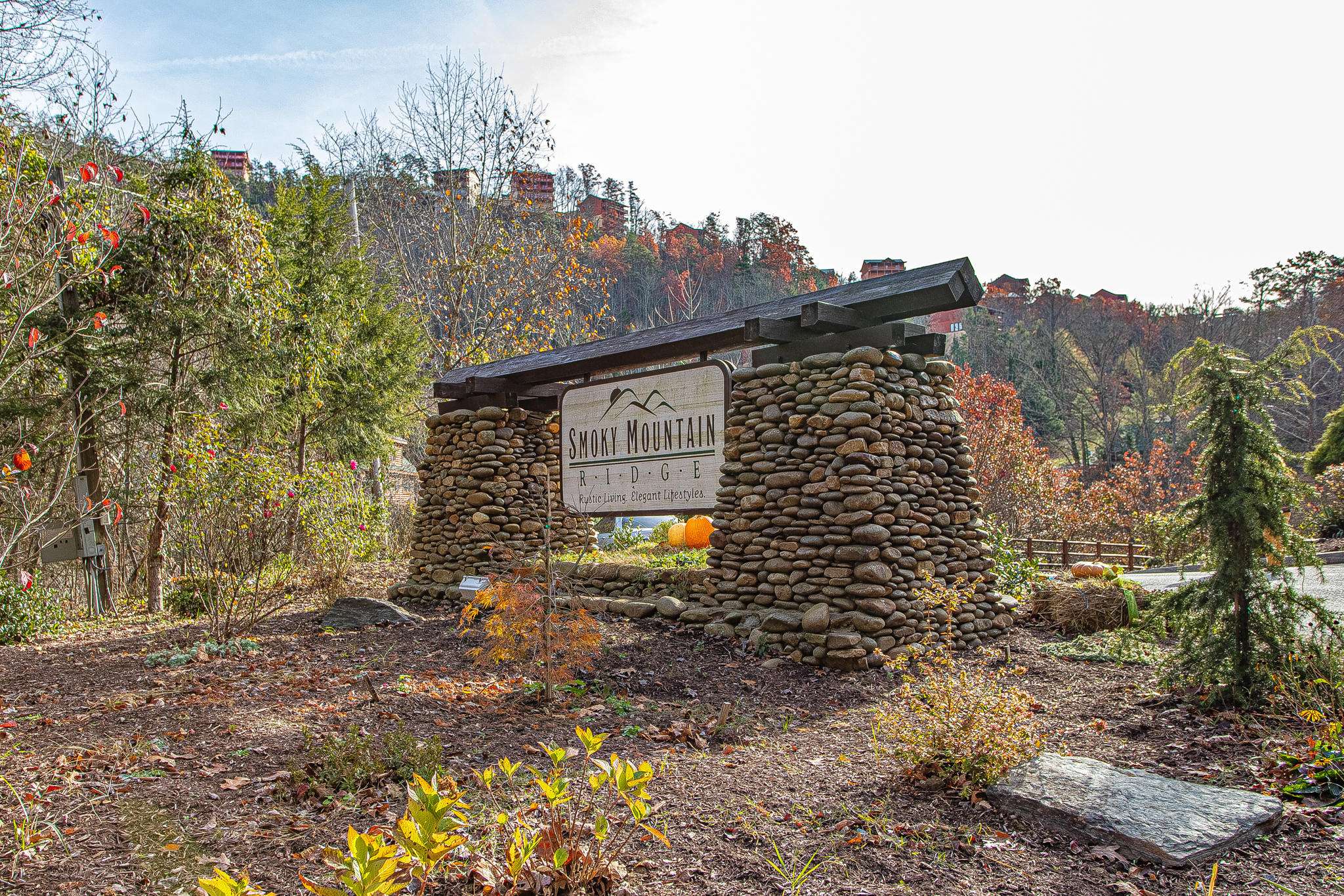 Sevierville, TN 37862,Lot 41 Smoky Ridge Way