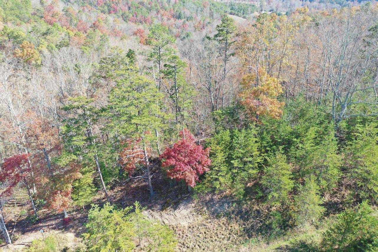 Sevierville, TN 37876,Lot 32 Mountain Ash Way