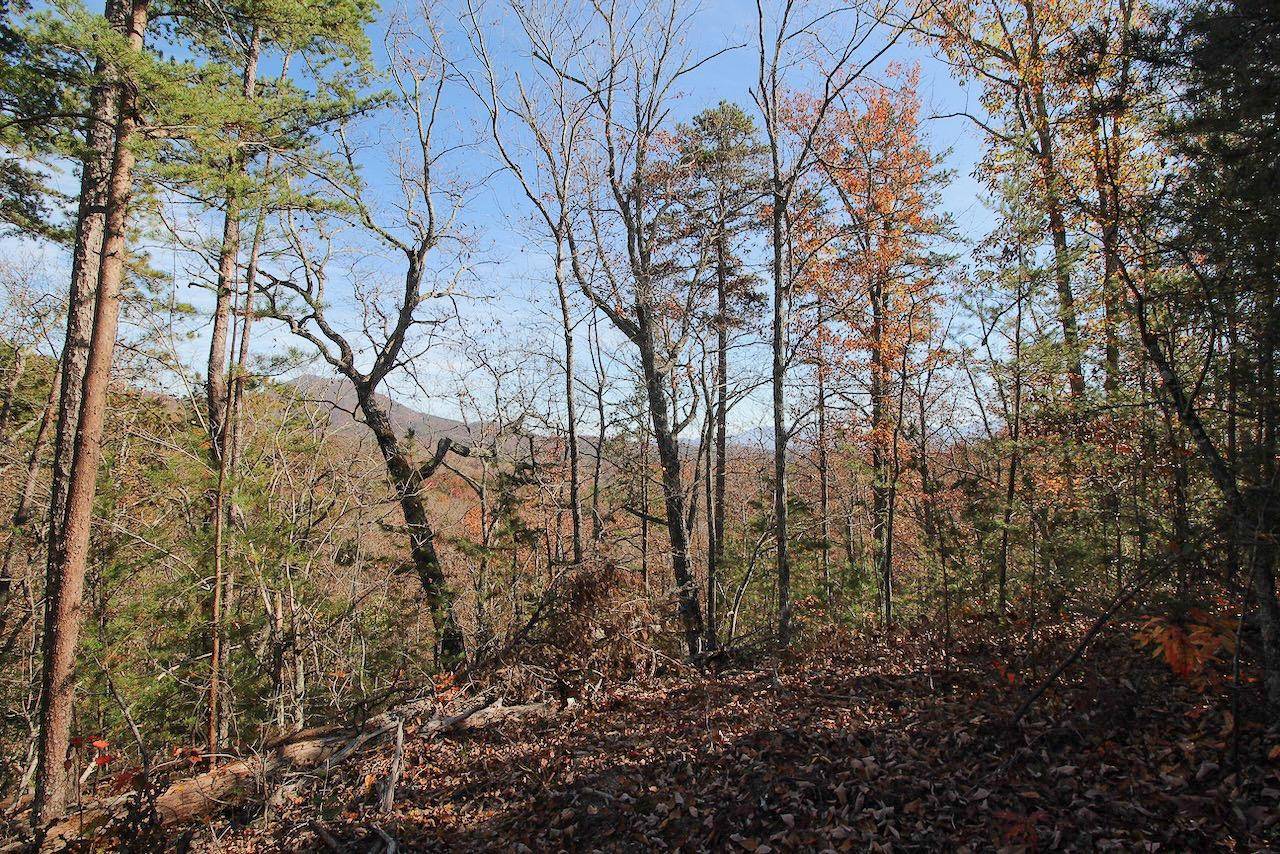 Sevierville, TN 37876,Lot 32 Mountain Ash Way