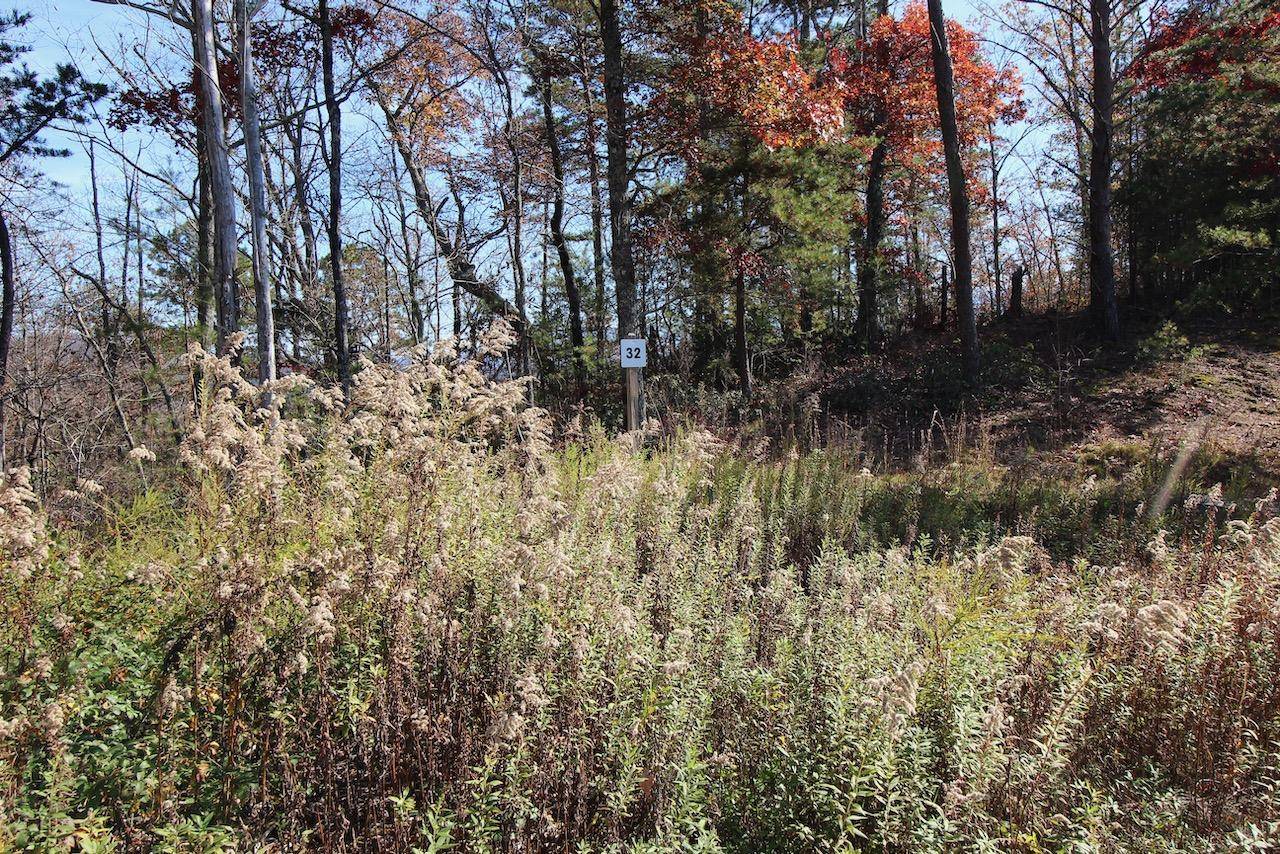 Sevierville, TN 37876,Lot 32 Mountain Ash Way