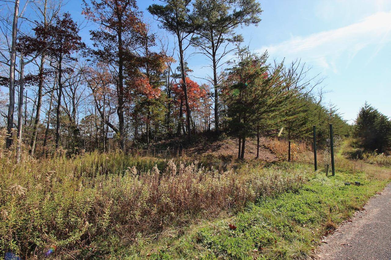 Sevierville, TN 37876,Lot 32 Mountain Ash Way