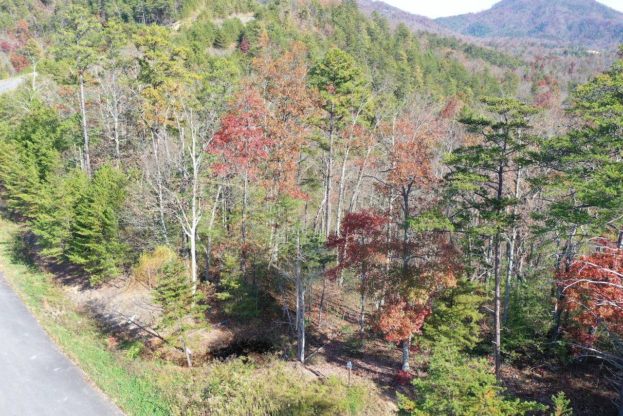 Sevierville, TN 37876,Lot 33 Mountain Ash Way