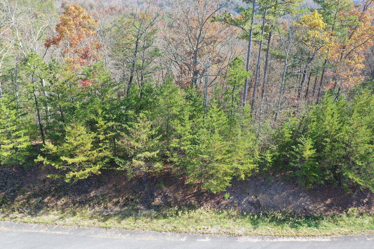 Sevierville, TN 37876,Lot 33 Mountain Ash Way