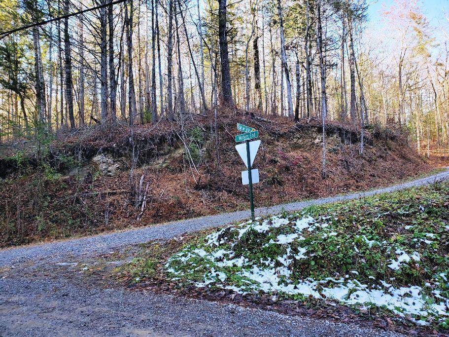 Walland, TN 37886,Lot 1 Waters End Rd