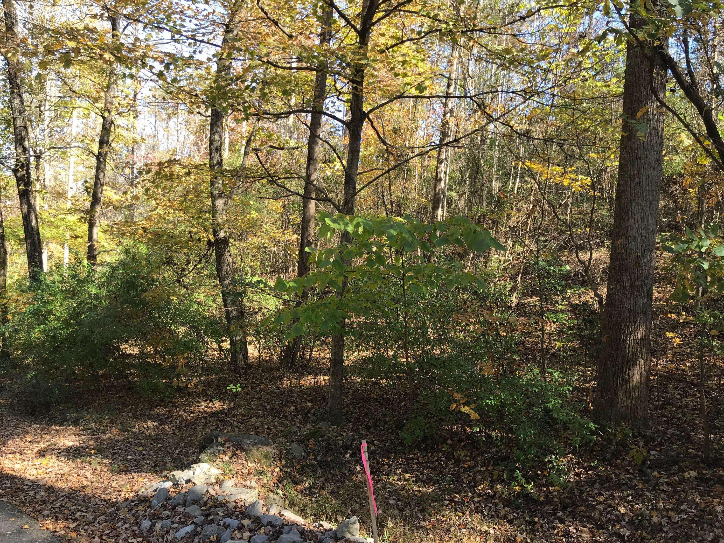 Andersonville, TN 37705,Lot 2 Stardust LN #2