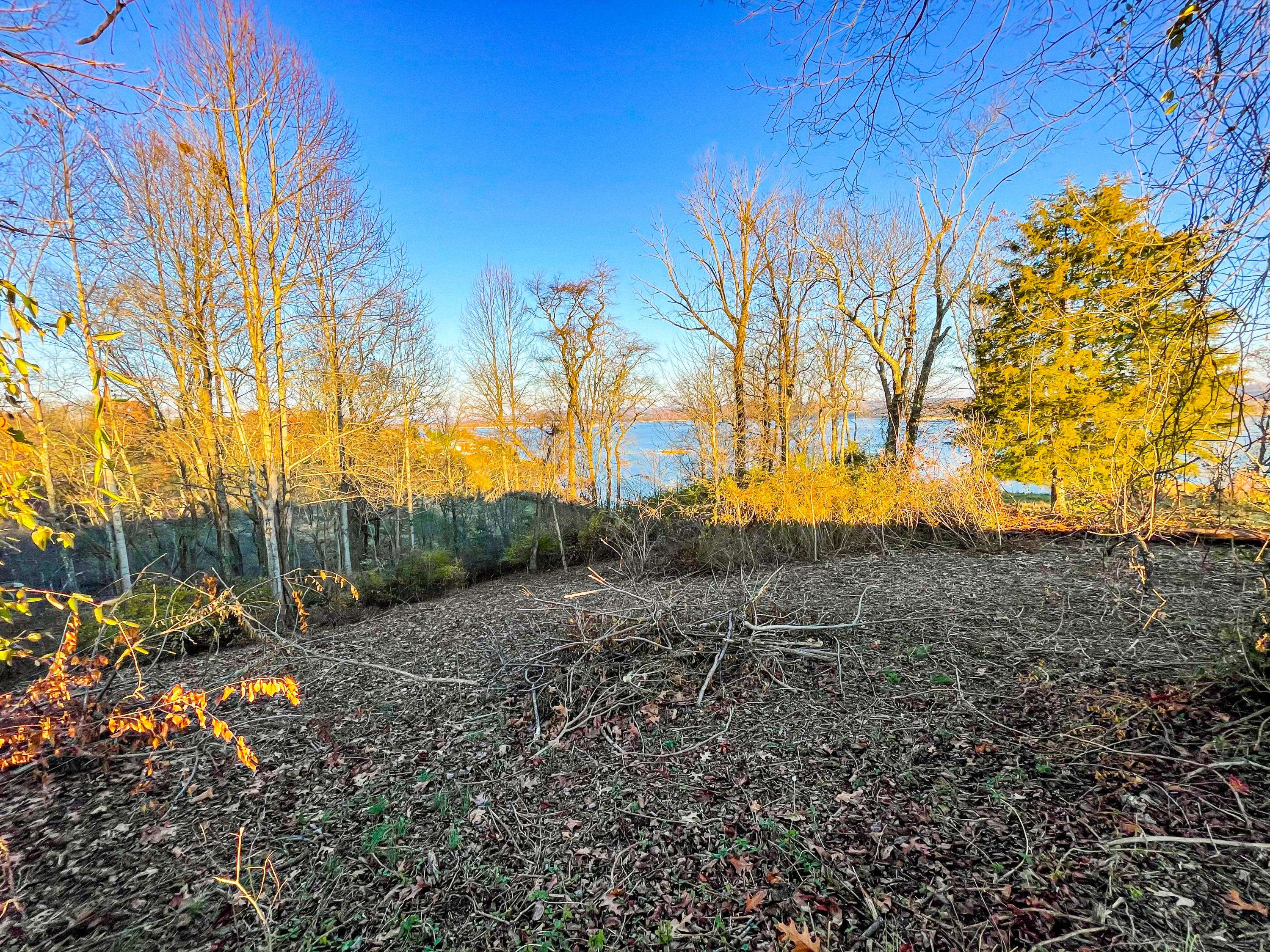 Rutledge, TN 37861,Lot 6 Alberts Cove