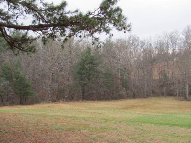 Robbins, TN 37852,8.72ac State Route 52