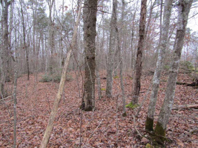 Monterey, TN 38574,Lot 6 East Overlook Rd