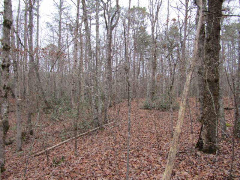 Monterey, TN 38574,Lot 6 East Overlook Rd