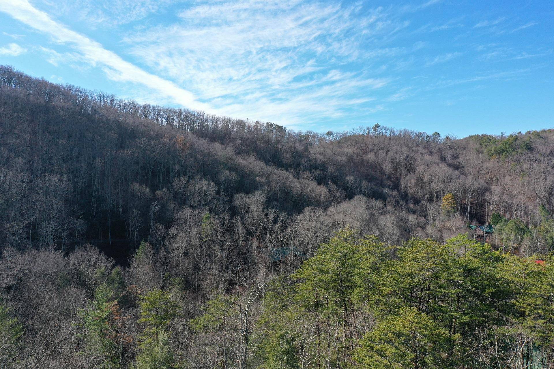 Sevierville, TN 37862,Teaberry Hill WAY