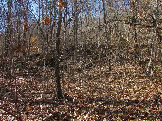 New Tazewell, TN 37825,Lot 571 Clear Water Rd