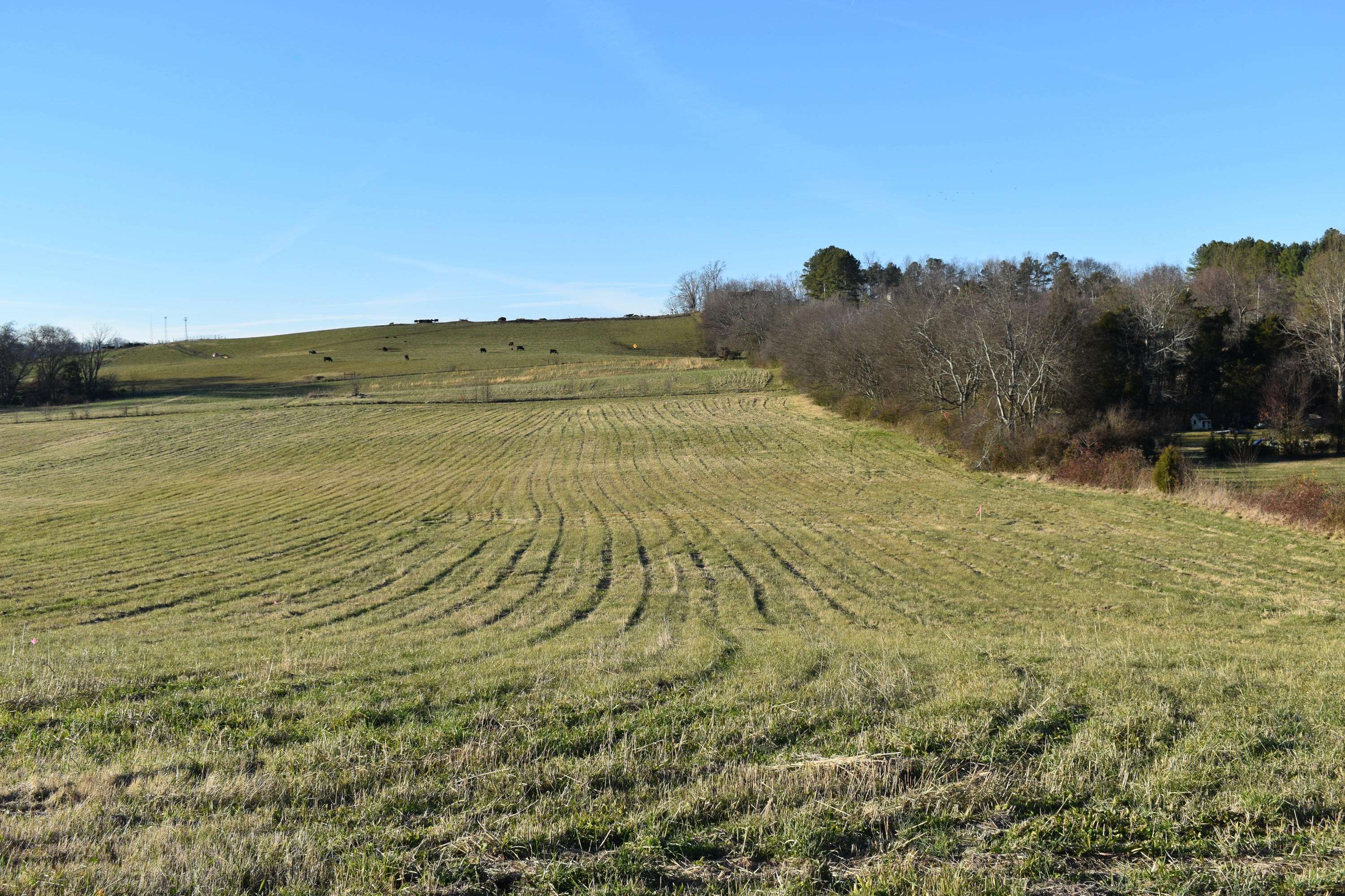 Sevierville, TN 37876,Lot 1 McCleary Rd