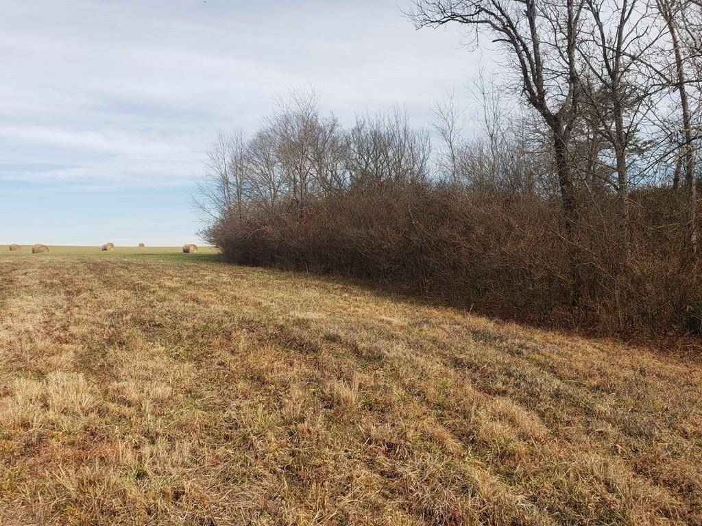 Spencer, TN 38585,Lot 83Ee Equestrian Ridge