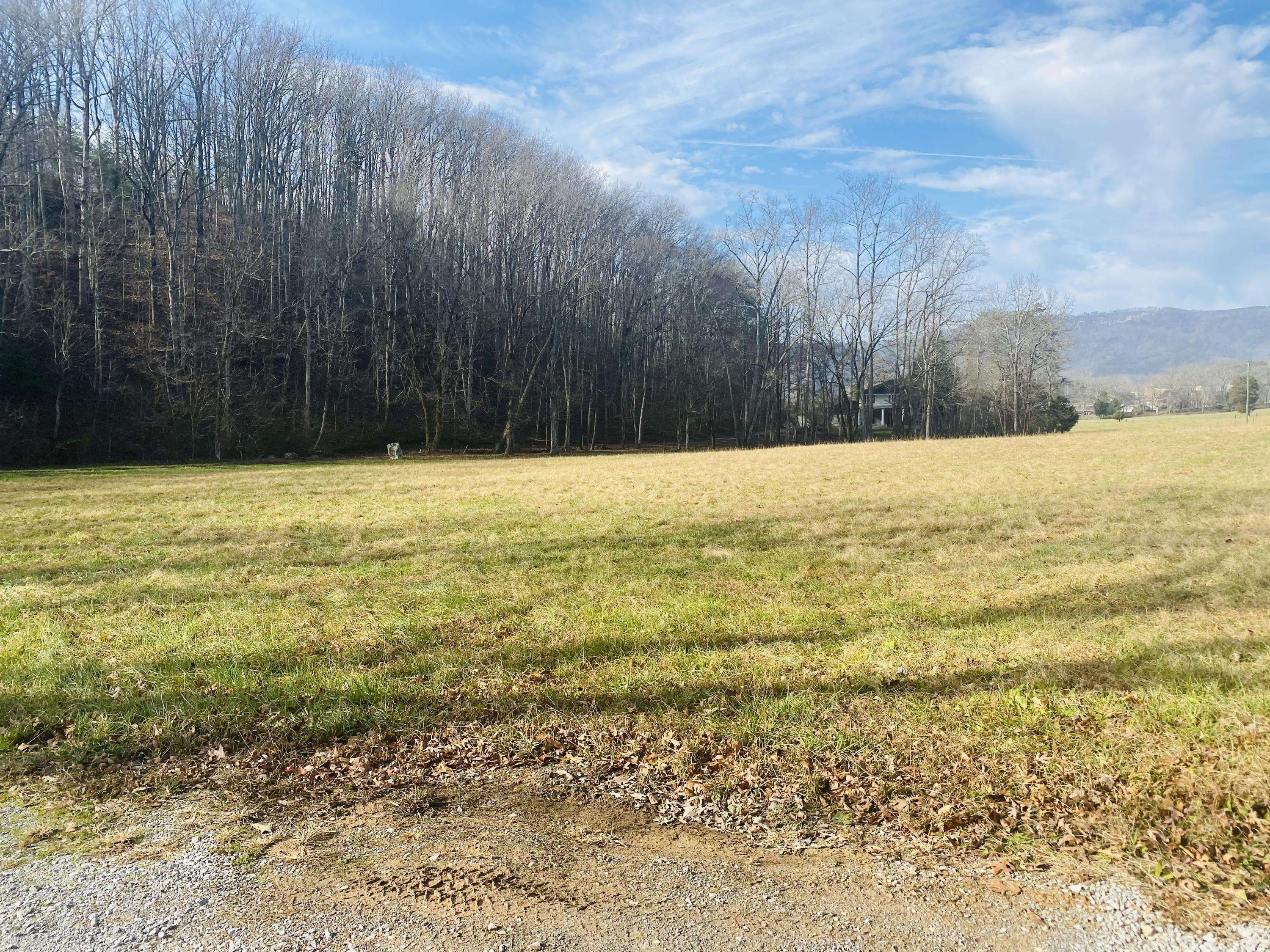 Tellico Plains, TN 37385,210 Old Mill Rd