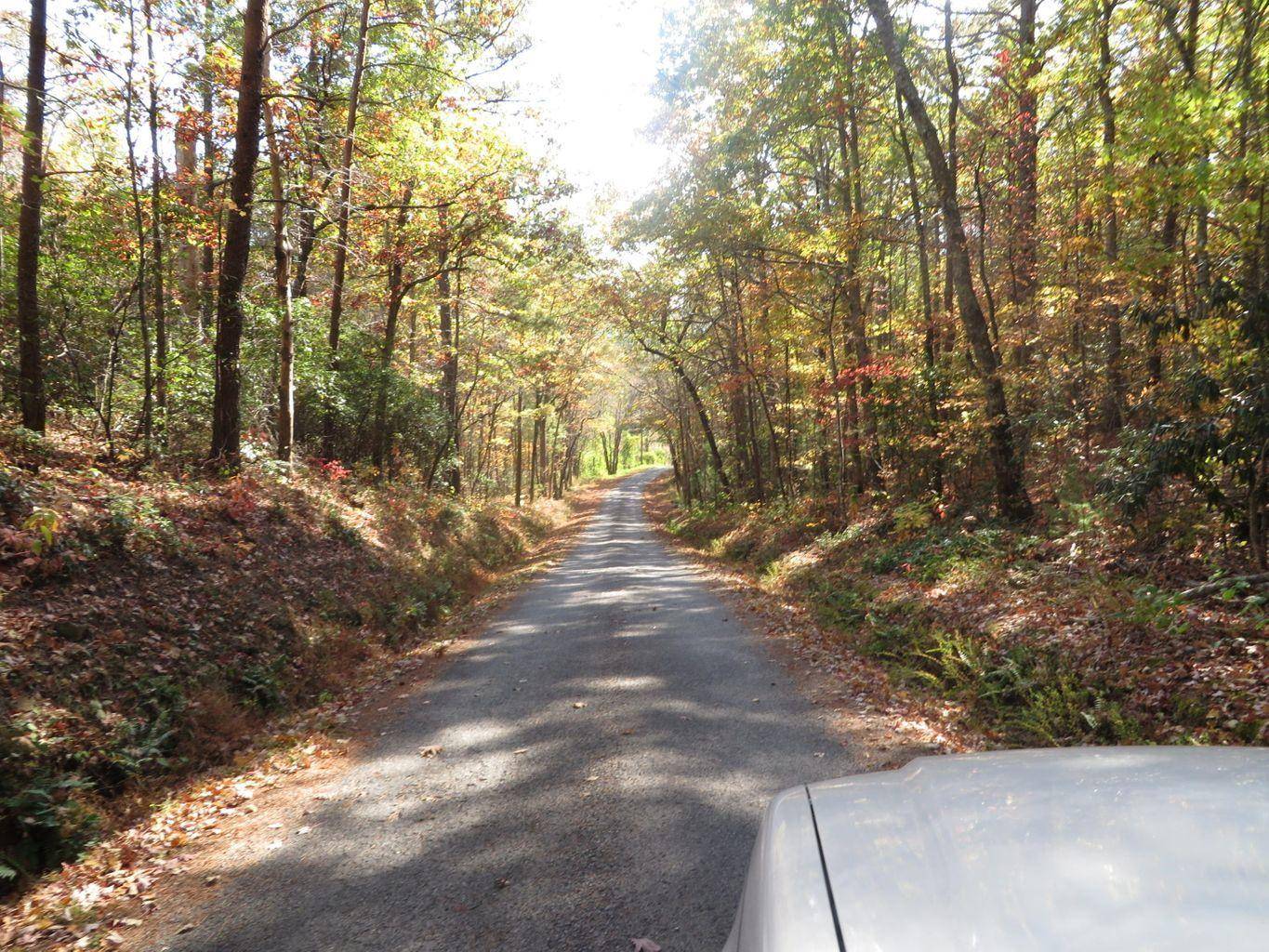 Coker Creek, TN 37314,Jim Davis Rd