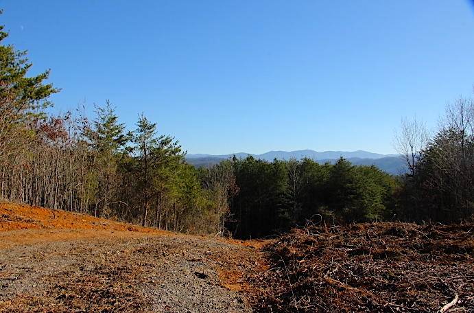 Tellico Plains, TN 37385,Lot 4 Curtis Rd