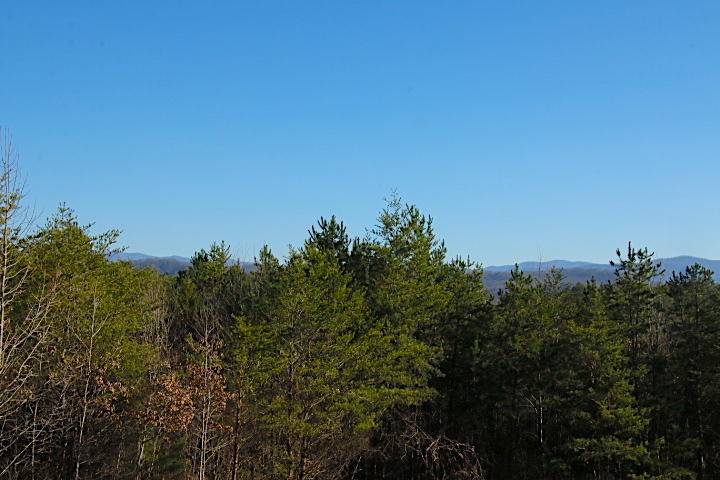 Tellico Plains, TN 37385,Lot 4 Curtis Rd