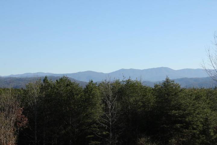 Tellico Plains, TN 37385,Lot 5 & 6 Curtis Rd