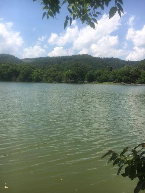 Mooresburg, TN 37811,Lot 149 Nautical PT