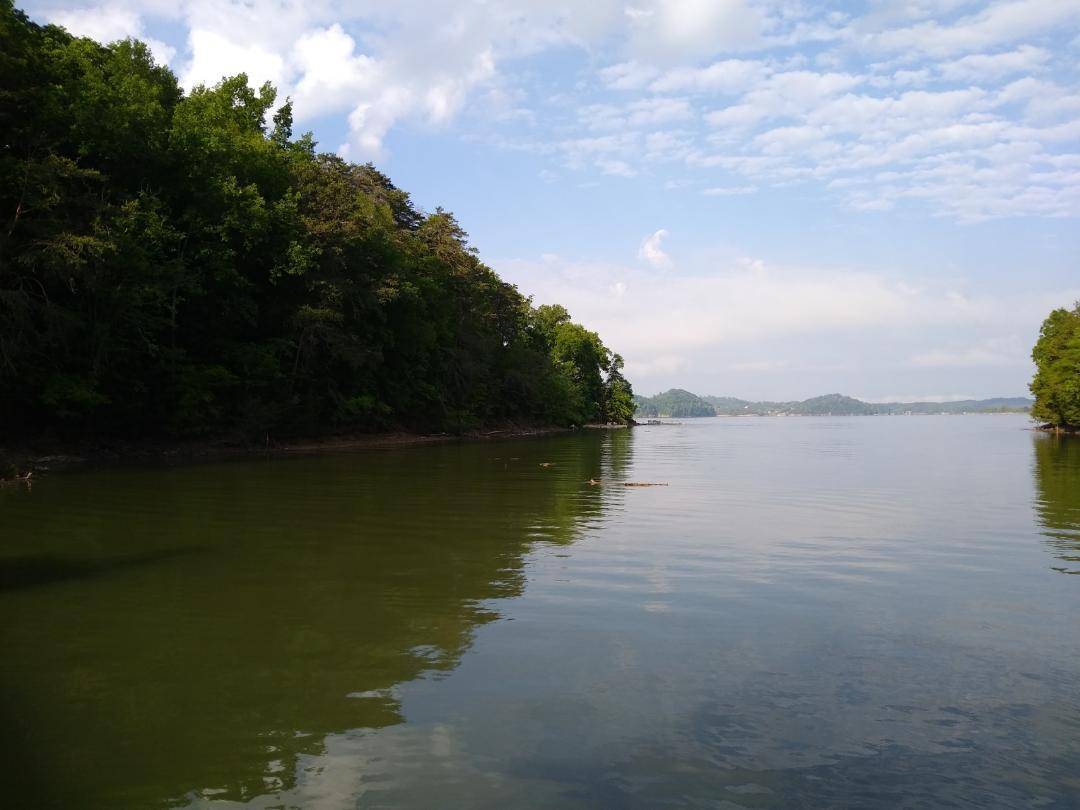 Dandridge, TN 37725,Tranquility Tr