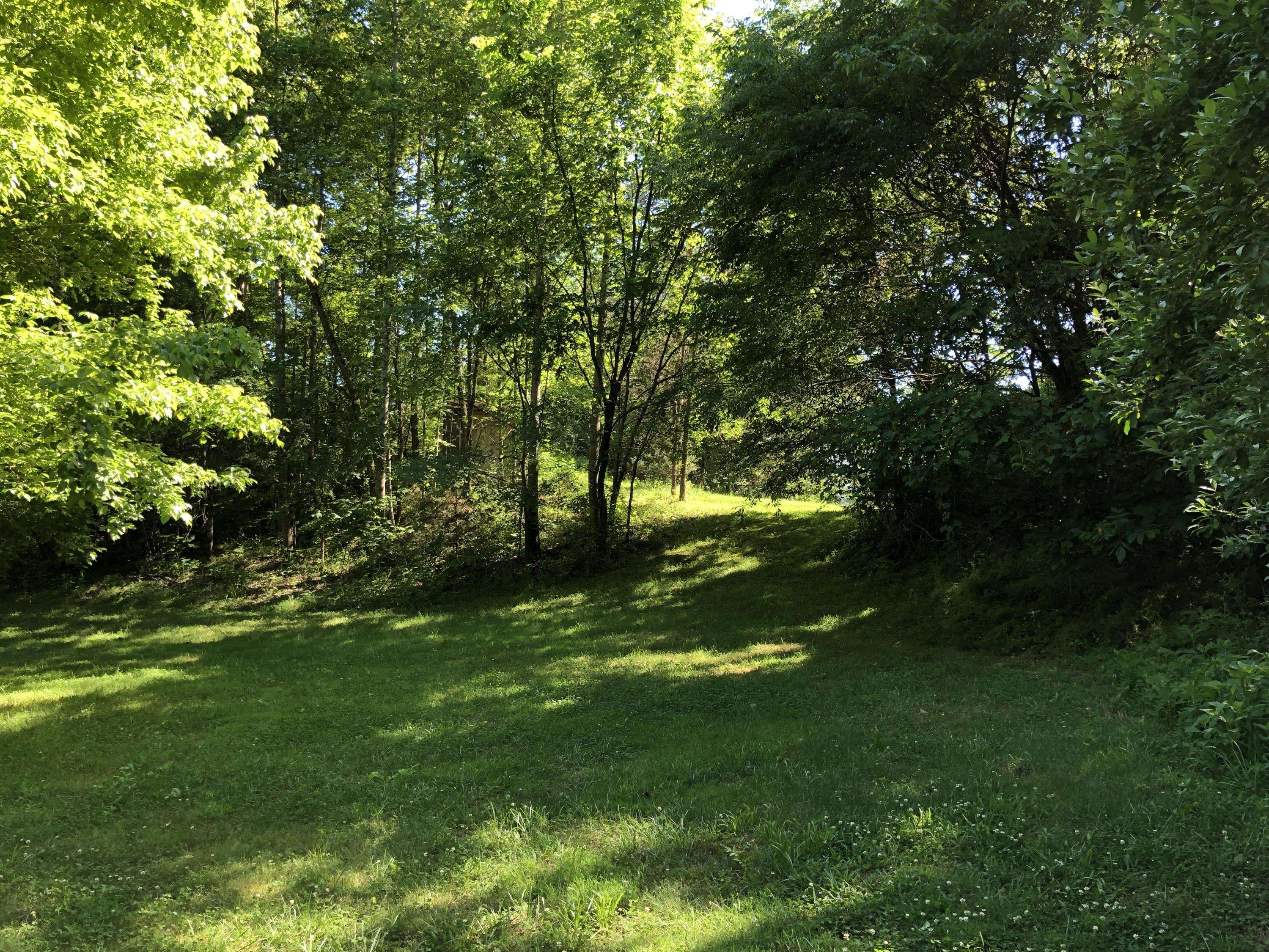 Parrottsville, TN 37843,635 Pleasant View WAY