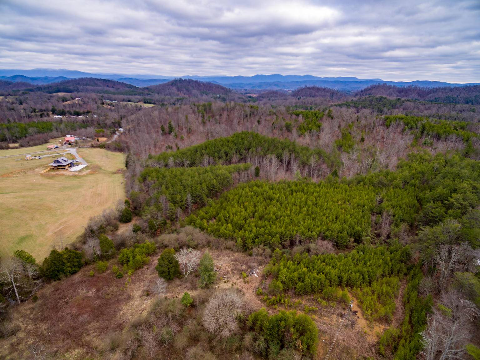 Tellico Plains, TN 37385,696 Reagan Valley Rd