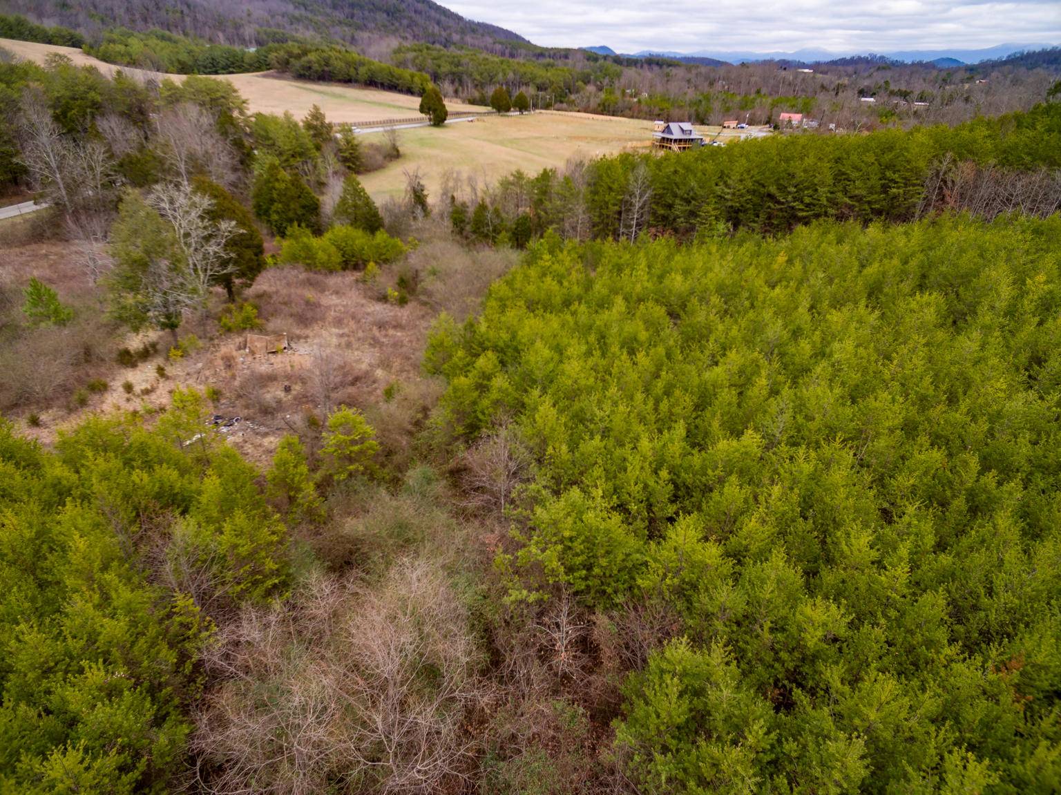 Tellico Plains, TN 37385,696 Reagan Valley Rd