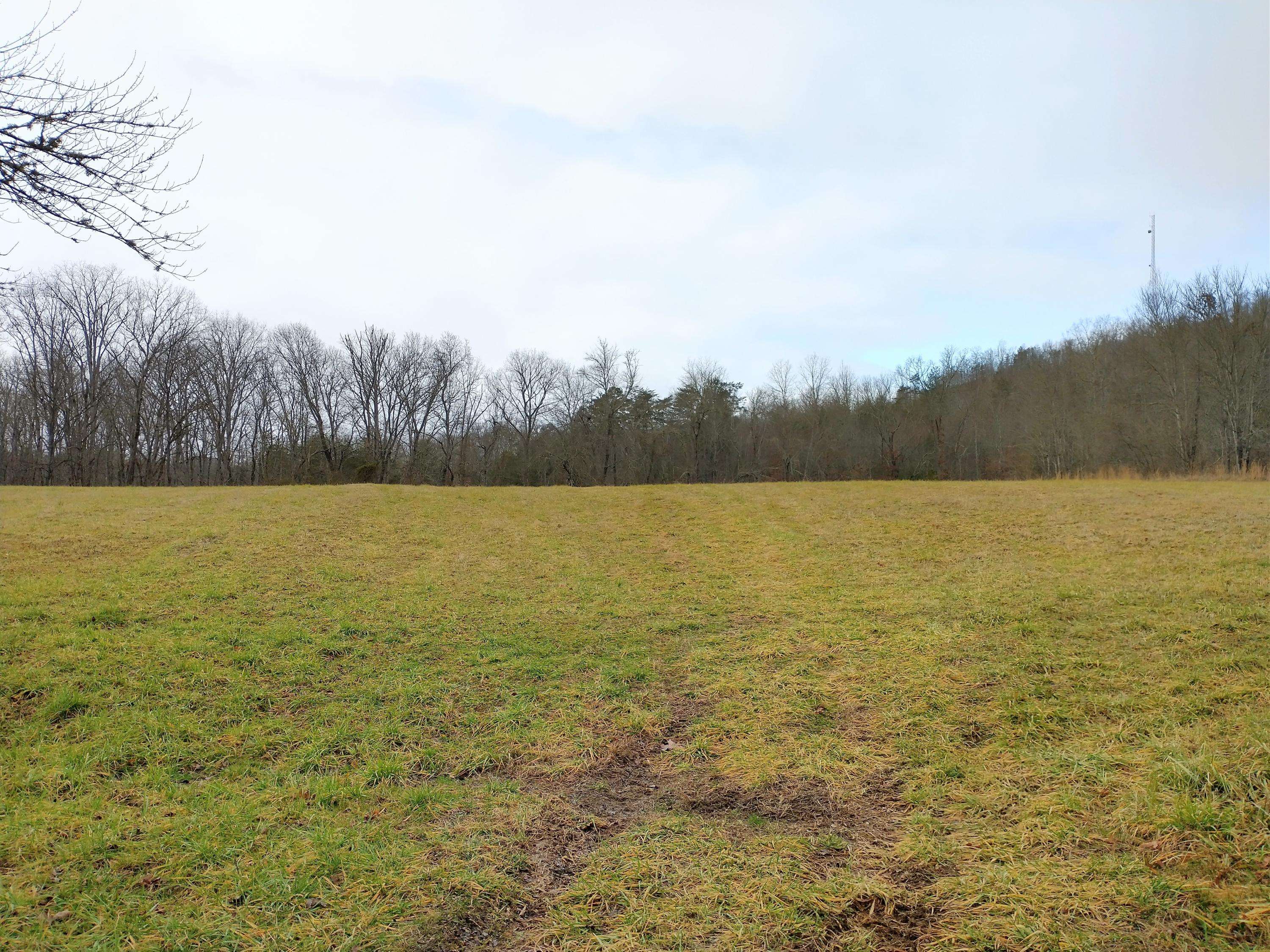 Robbins, TN 37852,Grassy Knob Rd