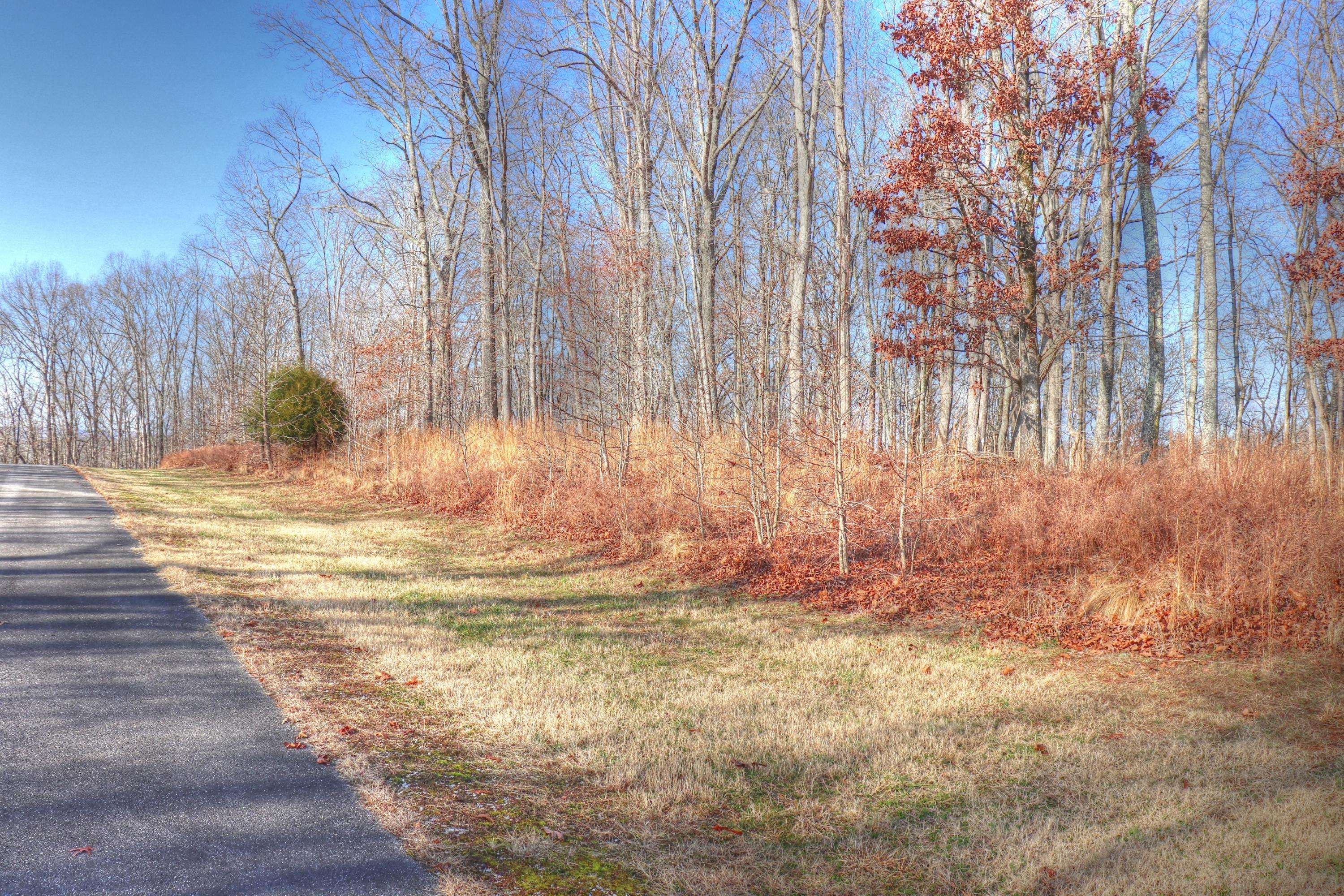 Rockwood, TN 37854,Lot 209 Reuben Ridge