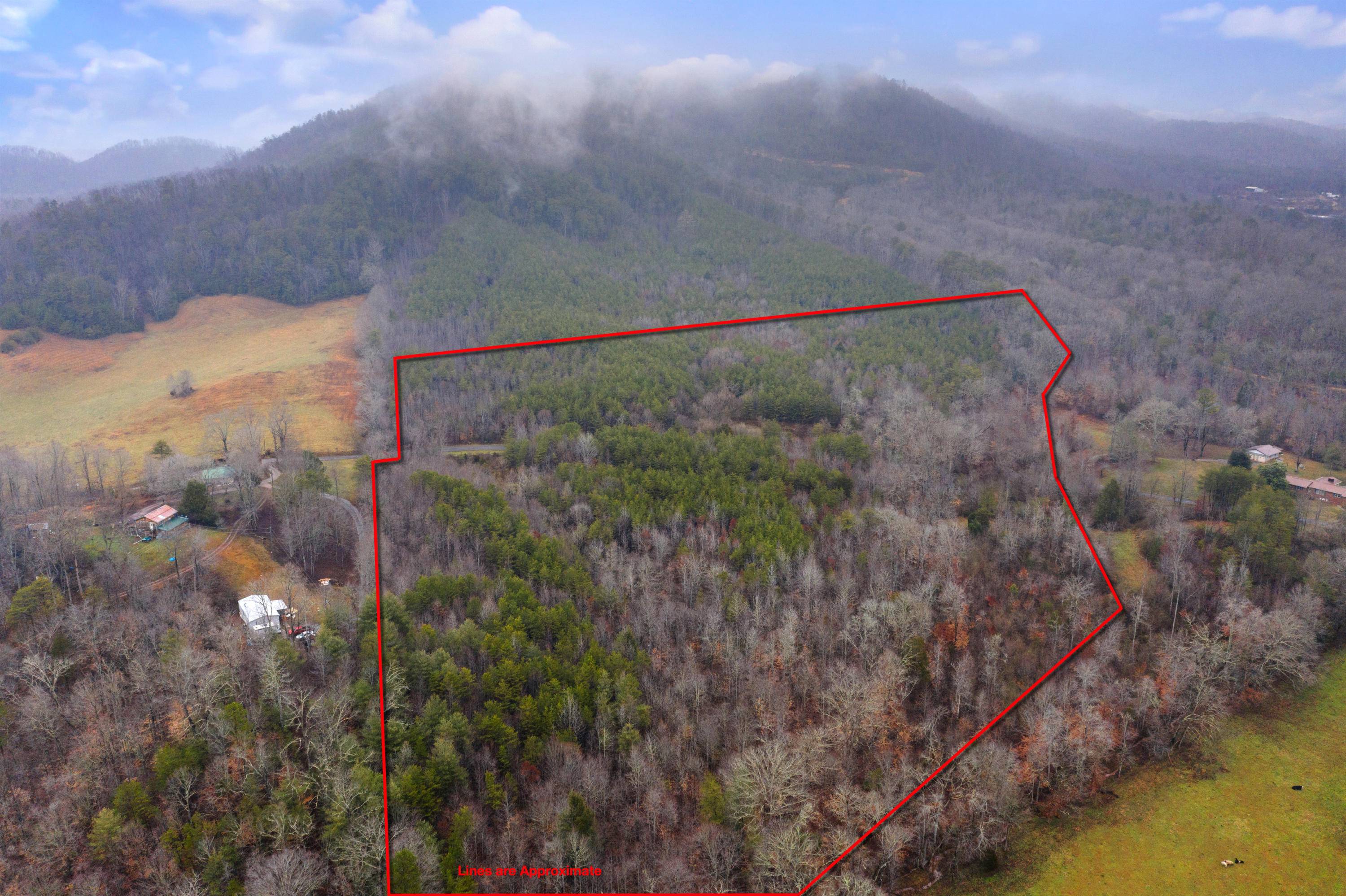 Tellico Plains, TN 37385,Baker Rd