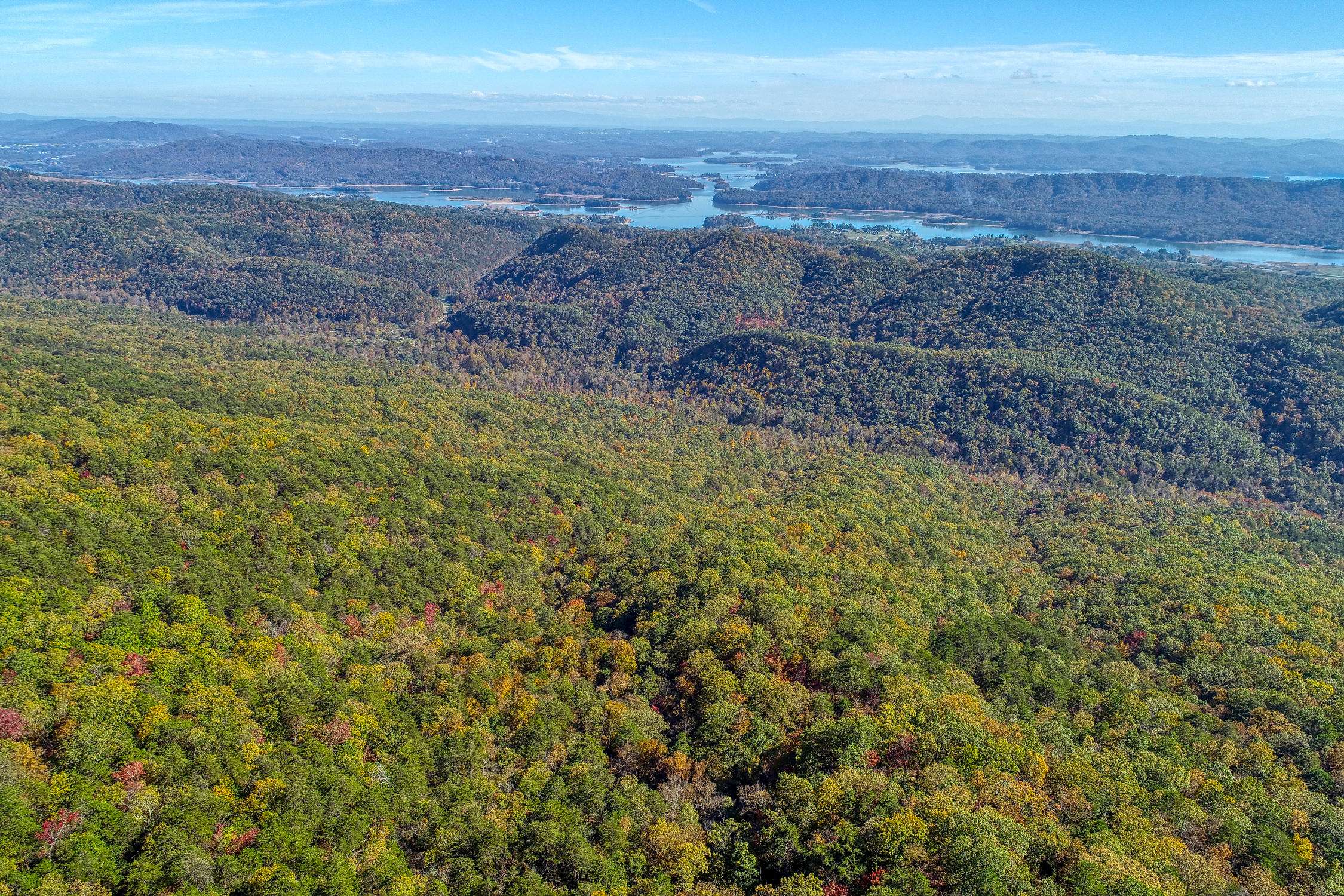 Thorn Hill, TN 37881,770 Lookout Mtn Rd