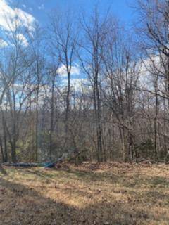 Monterey, TN 38574,Lot 47 Davidson Ave