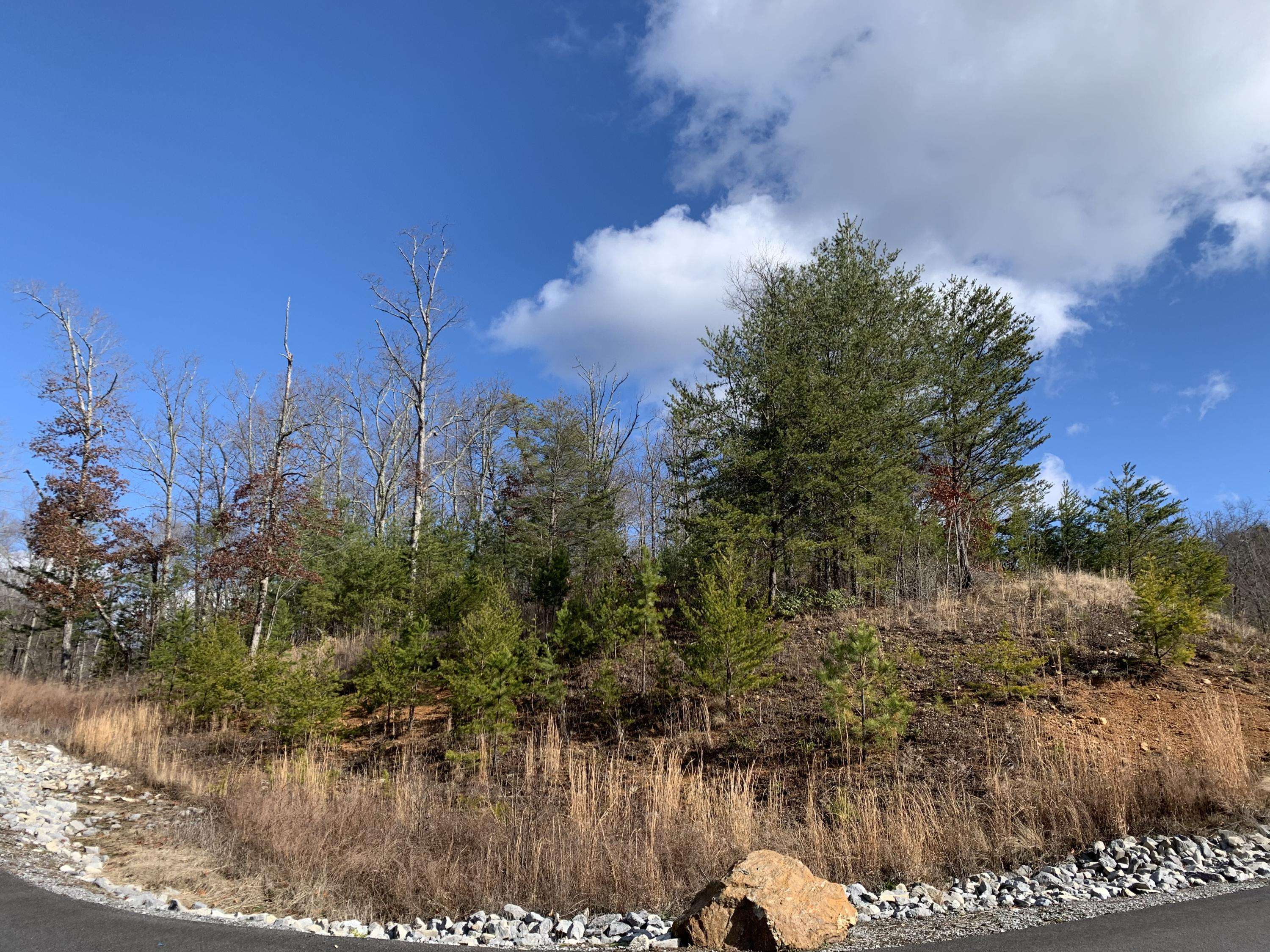 Sevierville, TN 37862,Lot 116 Summit Trails DR