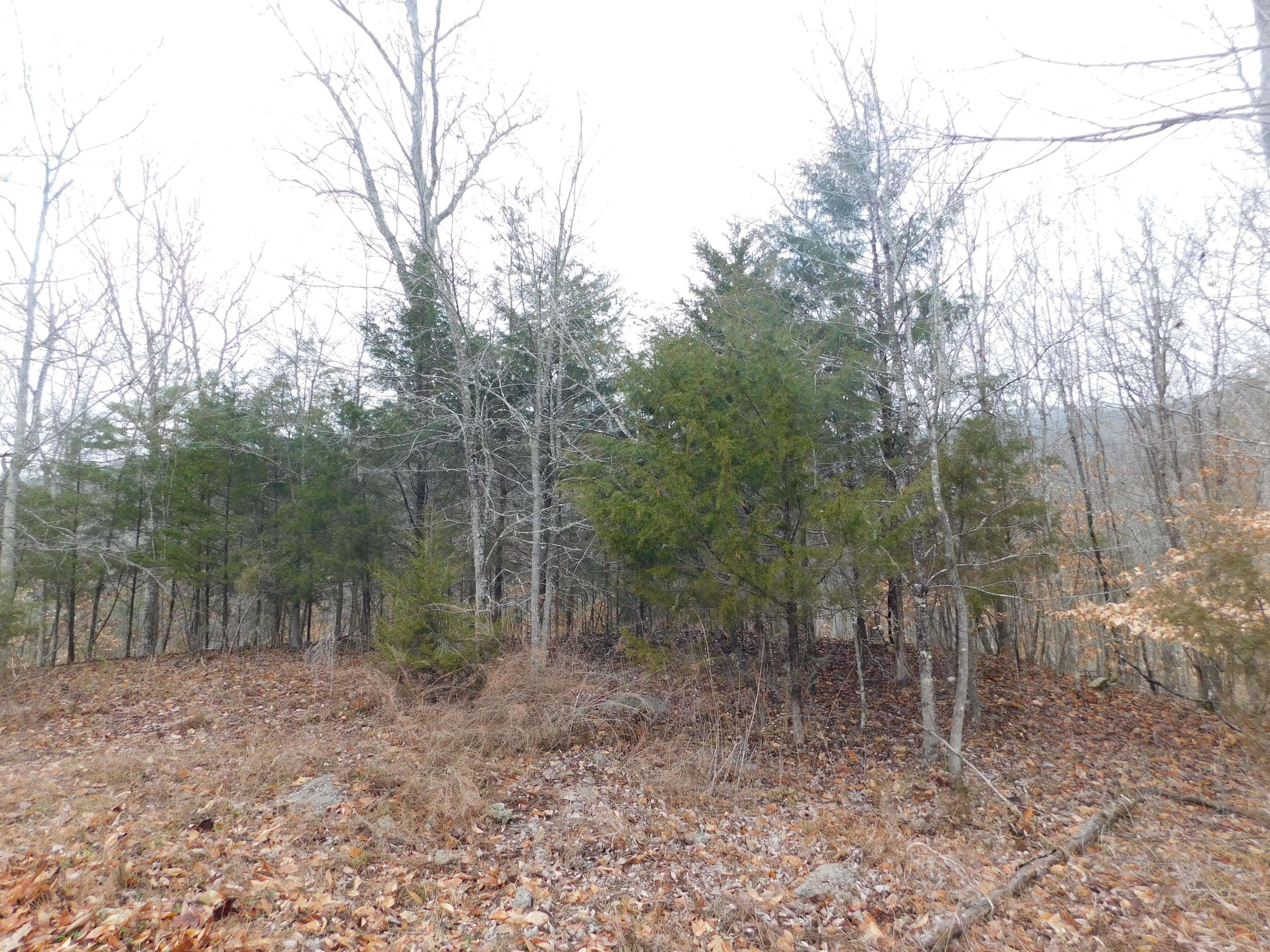 New Tazewell, TN 37825,Lot 362 Morning Glory Rd