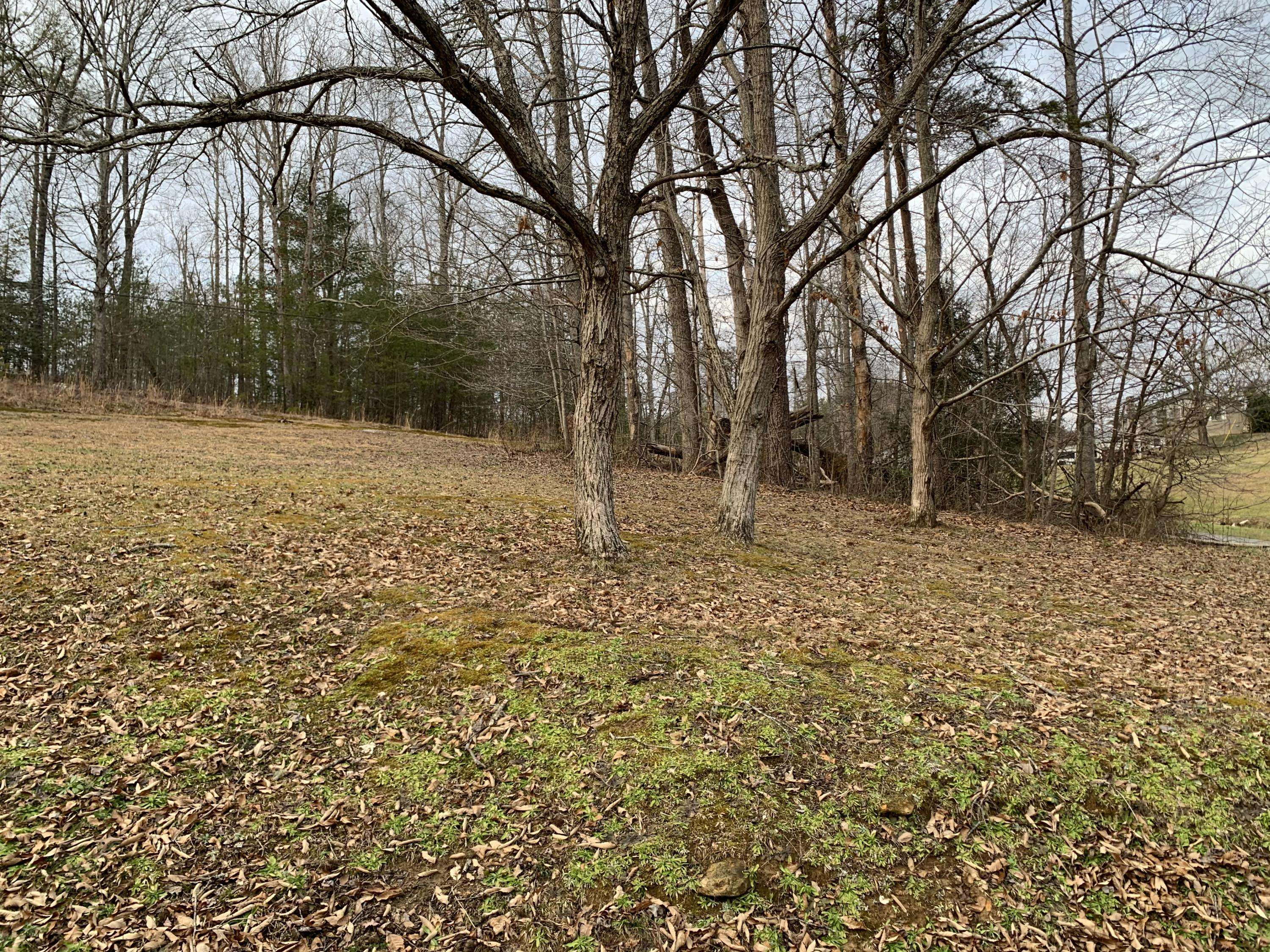 Tellico Plains, TN 37385,669 Pond Ridge Rd