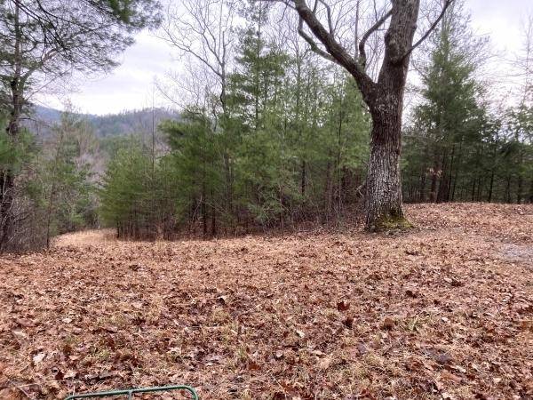 Tellico Plains, TN 37385,300 Wildcat Rd